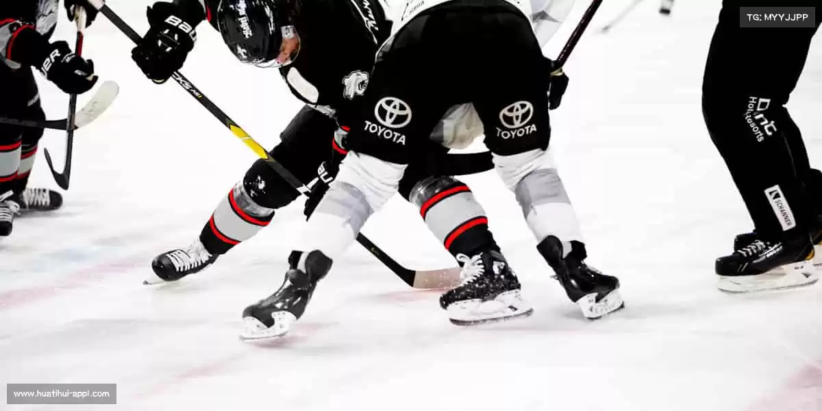 行业领先的理由